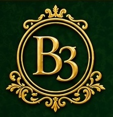 B3 Logo