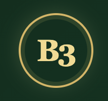 B3 Logo